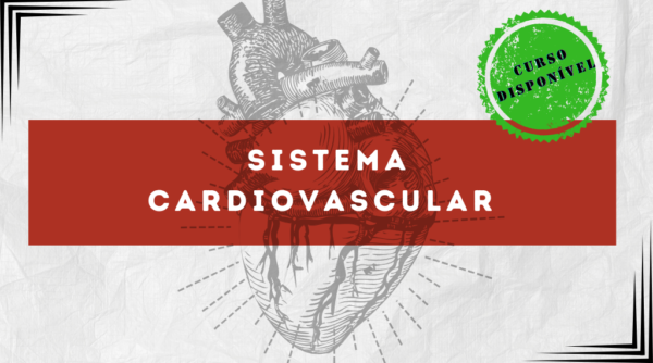 Sistema Cardiovascular