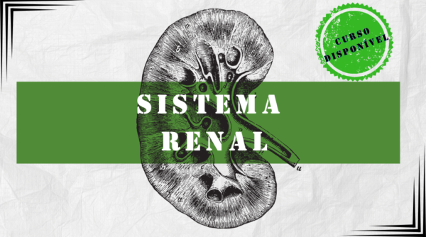 Sistema Renal